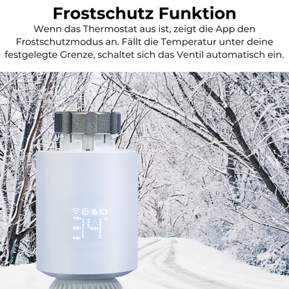 SmartHeat - Smartes Heizkörper-Thermostat