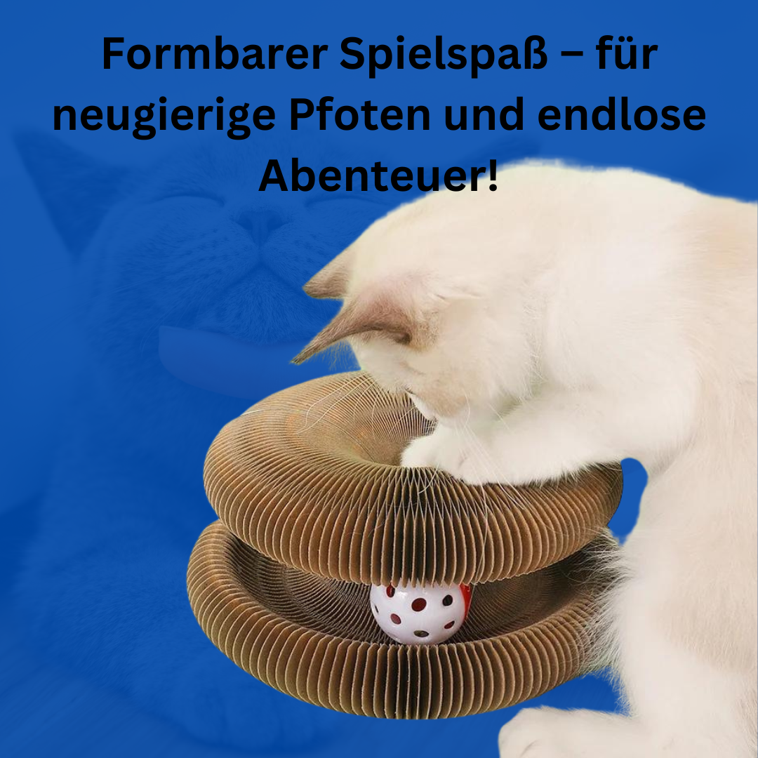 Miauwelle - Katzenspielzeug